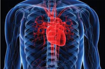 Enfermedades-cardiovasculares