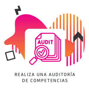ICONO_7_Realiza_Auditoria-03