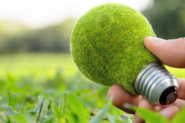 Marketing_Verde_2