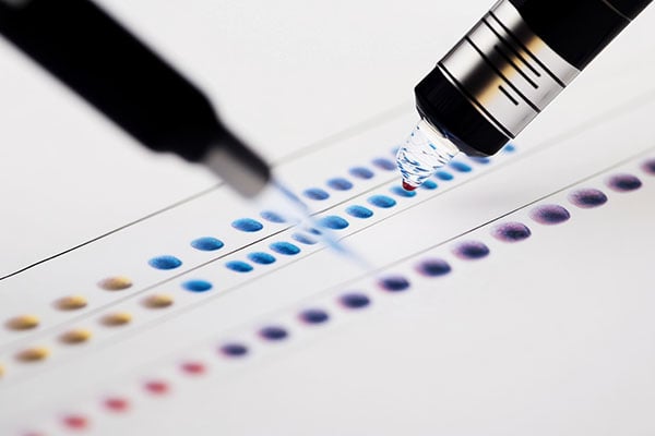 Pruebas_Geneticas_2
